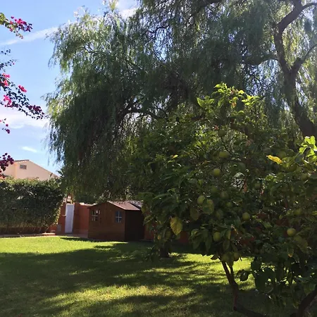 Semesterbostad Casa Buganvilla *